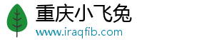 重慶小飛兔
